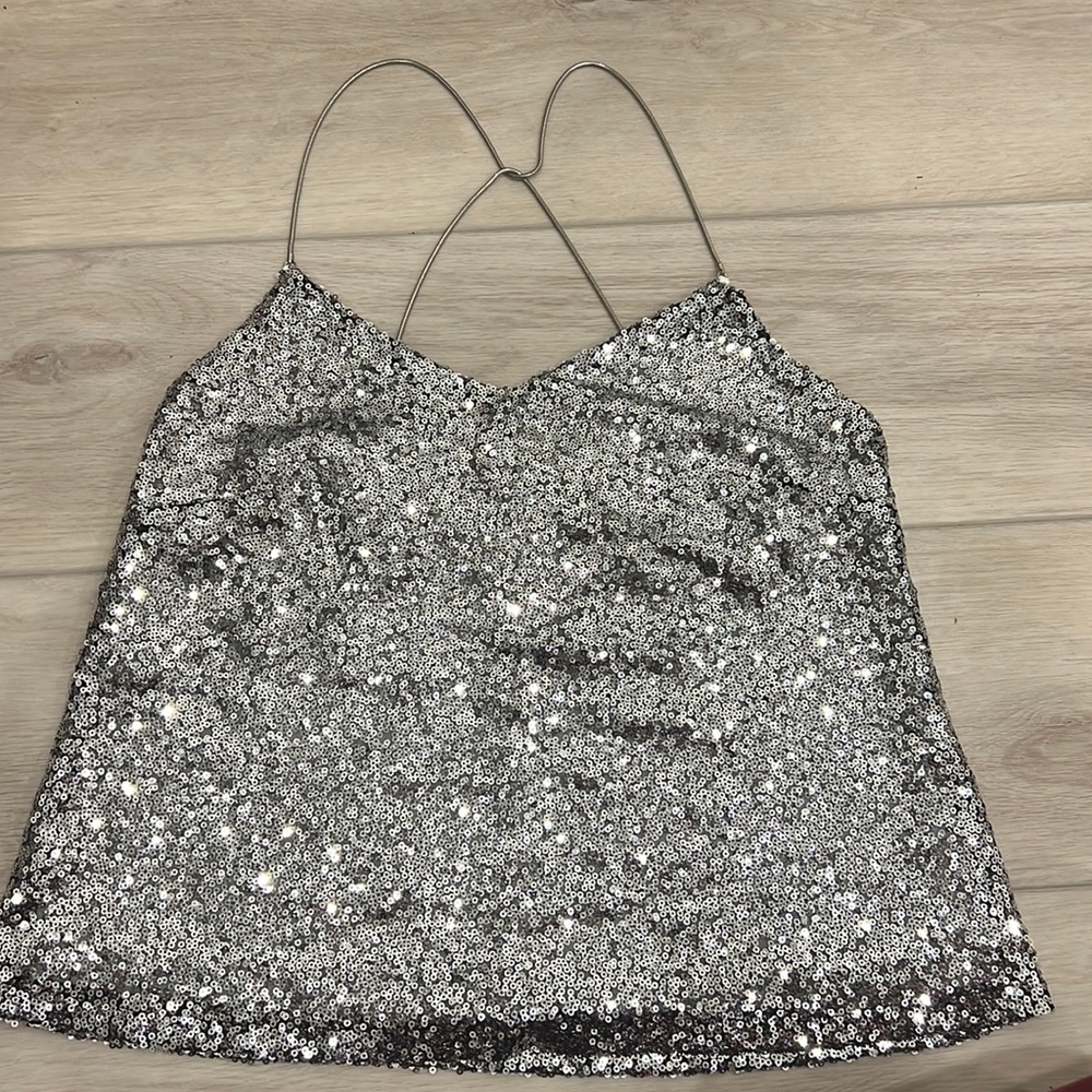 Silver Sequins